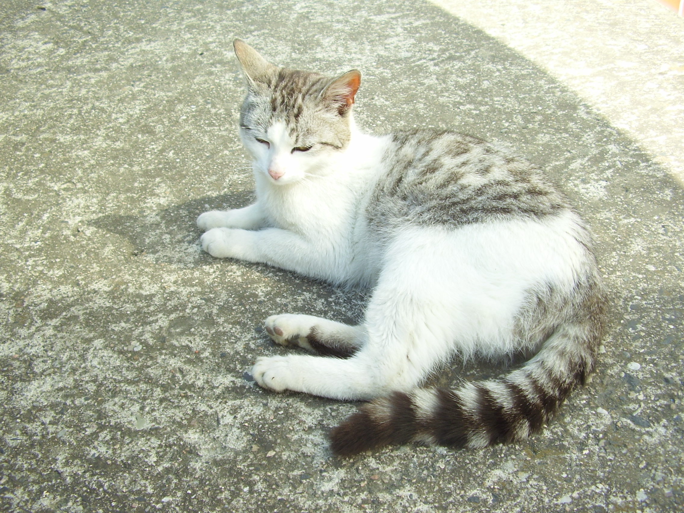 Snímek 003.jpg